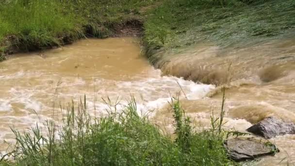 Río Sucio Con Agua Fangosa Período Inundación Durante Las Fuertes — Vídeo de stock