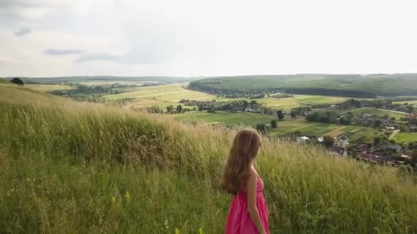 Yong Kvinna Med Långt Hår Röd Klänning Promenader Sommaren Fält — Stockvideo