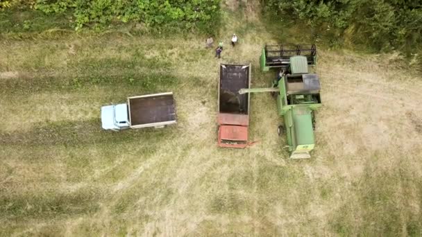 Vista Aérea Cosechadora Cosechadora Cosechadora Grande Campo Trigo Maduro Agricultura — Vídeos de Stock