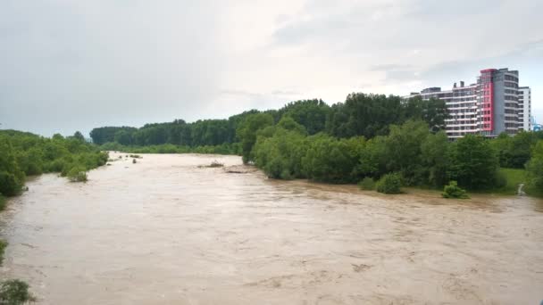 Amplio Río Sucio Con Agua Fangosa Período Inundación Durante Las — Vídeos de Stock