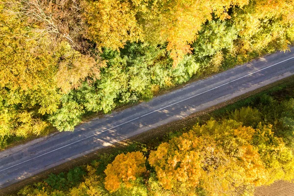 Luchtfoto Van Lege Weg Tussen Gele Bomen — Stockfoto