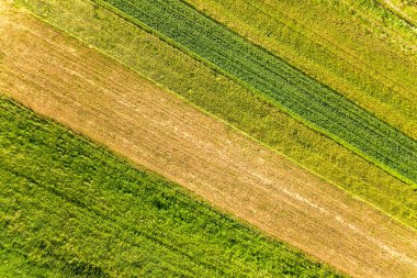 Sıcak, güneşli bir günde tohum ekme mevsiminden sonra taze bitki örtüsüyle ilkbaharda yeşil tarım arazilerinin havadan görünüşü.
