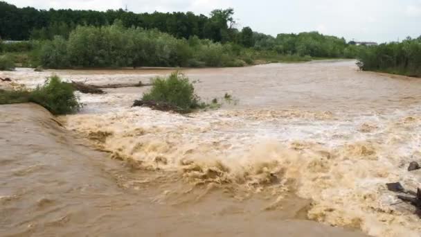 Ampio Fiume Sporco Con Acqua Fangosa Periodo Inondazione Durante Forti — Video Stock