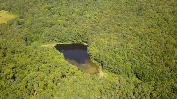 Vista Aérea Pequeno Lago Florestal Meio Florestas Densas Verdes Verão — Vídeo de Stock