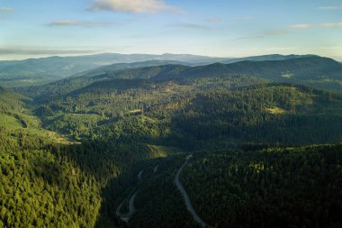 Yüksek dağdaki dolambaçlı yolun havadan görünüşü Yoğun yeşil çam ormanlarından geçer.
