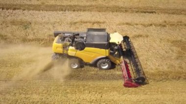Buğday tarlasını hasat eden hasatçının hava görüntüsü.