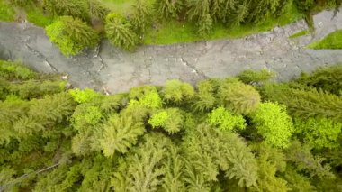 Yeşil çam ormanlarının havadan görünüşü yaz dağlarında çam ağaçlarından gölgeler..