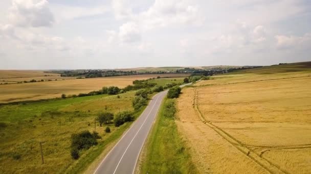 将于夏末收获的黄色农田间的一条汽车行驶的公路的空中景观 — 图库视频影像