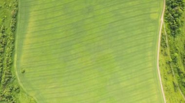 Tohum ekme mevsiminden sonra taze bitki örtüsüyle ilkbaharda yeşil tarım alanlarının havadan görünüşü.