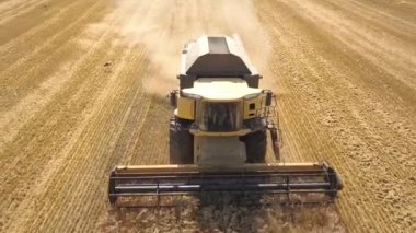 Buğday tarlasını hasat eden hasatçının hava görüntüsü. İHA görünümünden tarım.