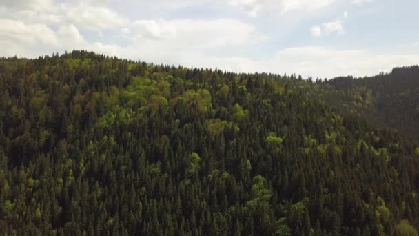 Letecký Pohled Vysoké Hory Pokryté Zeleným Smrkovým Lesem Oblačného Letního — Stock video