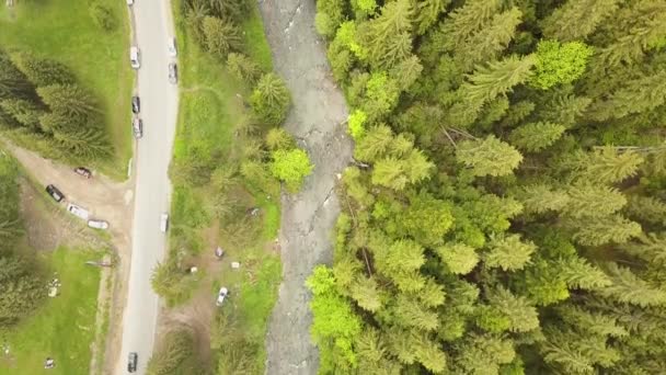 Luchtfoto Van Groen Dennenbos Met Luifels Van Sparren Bomen Zomer — Stockvideo