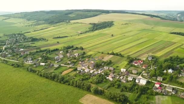 Luftaufnahme Eines Kleinen Dorfes Mit Kleinen Häusern Inmitten Grüner Bäume — Stockvideo