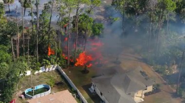 Florida 'daki yerleşim yerlerindeki yangının alevleri yoğun orman alevleri ve evlerin üzerine yayılan dumanla birlikte..