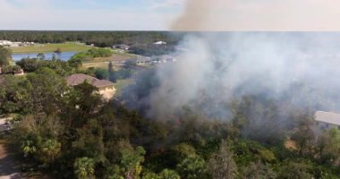 Bitki yangını Florida 'daki banliyö evlerinin yakınındaki ormanlık alanda yanarken, duman yükseliyor ve alevler yükseliyor..