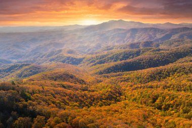 Günbatımında Appalachian dağlarının sonbahar ormanları. Renkli ormanlarda sarı ve turuncu gölgeler. Sonbahar mevsiminde vahşi doğanın manzarası.