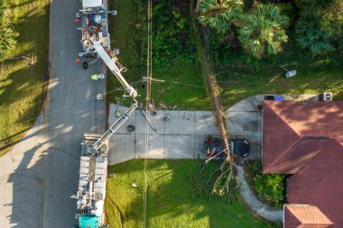 Elektrik işçileri Florida yerleşim bölgesindeki kasırga üstüne kova kamyonları kullanarak hasar görmüş elektrik hatlarını onarıyor..