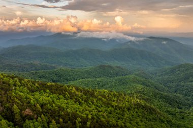 Yaz mevsiminde gün batımında yeşil tepe örtüleri olan dağ ormanları. Kuzey Carolina Yazın vahşi orman doğası.