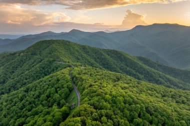 Gün doğumunda Appalachian dağlarında Mitchell Dağı 'nın doğa manzarası. Yaz mevsiminde yeşil tepe örtüleri olan dağ ormanları.
