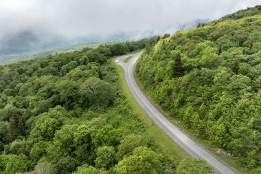 Yaz ormanlarında dolambaçlı dağ yolu. Kuzey Carolina 'daki Appalachian dağlarında yaz mevsiminde taze yeşil orman ağaçları olan bir nokta. ABD doğasının güzelliği.