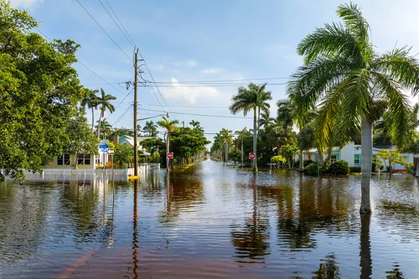 Punta Gorda, Florida 'daki Milton Kasırgası' nın evlerini su basmış. ABD 'nin güneyindeki doğal afet sonrası.