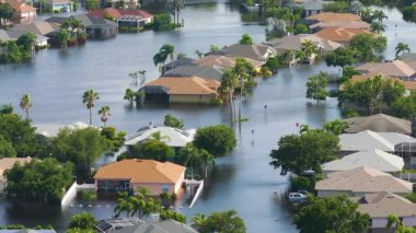 Sarasota, Florida 'daki Laurel Meadows bölgesinde Debby Kasırgası' ndan evleri ve arabaları sel basmış. ABD 'nin güneyindeki doğal afet sonrası.