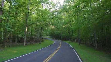 POV, yaz aylarında yeşil tepe örtüleriyle dağ ormanlarında dolambaçlı yoldan gidiyor. Kuzey Carolina 'da eko-turizm Yazın vahşi doğa.