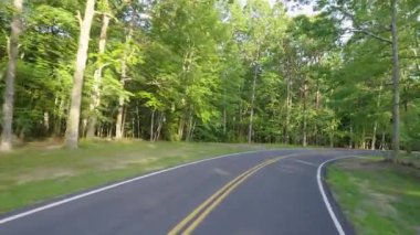 Kuzey Carolina Appalachian dağlarında orman yolunda araba kullanmak. Blue Ridge Parkway otoyolunun sürücü POV 'u yaz sezonunda.