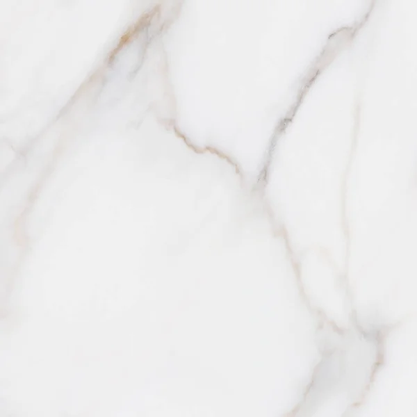 White marble background Stock Photos, Royalty Free White marble ...