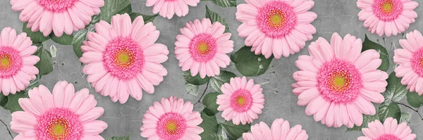 Cement Ściany Tekstury Różowymi Kwiatami Liści Powtarzać Tło — Zdjęcie stockowe