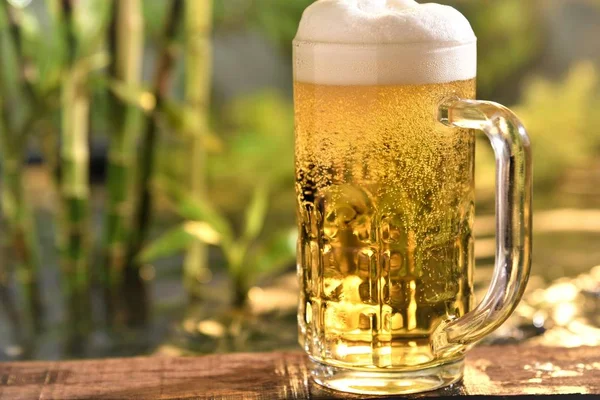 Beer Glass Green Garden Background — Stock Photo, Image