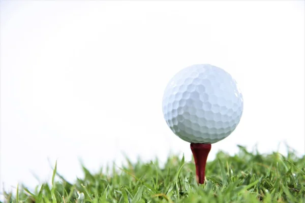 Golfboll Tee Isolerade Vit Bakgrund — Stockfoto