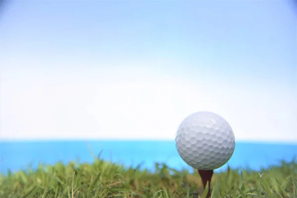 golf ball on red  tee seaside