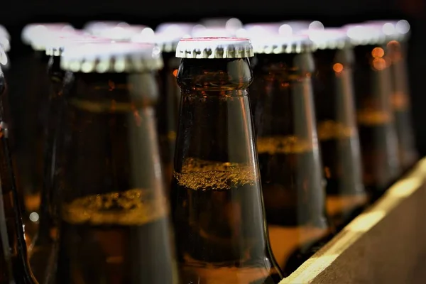 beer bottles in crate closeup