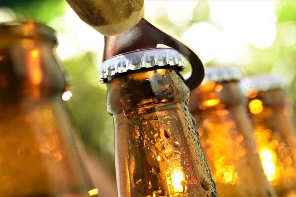 пивные бутылки верхней части с крышкой нож зеленый сад bokeh фон
 