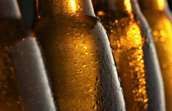 Zimne Piwo Butelka Szyi Zbliżenie — Zdjęcie stockowe