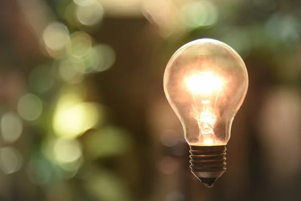 Wolfram Glühbirne Auf Garten Hintergrund Beleuchtet — Stockfoto