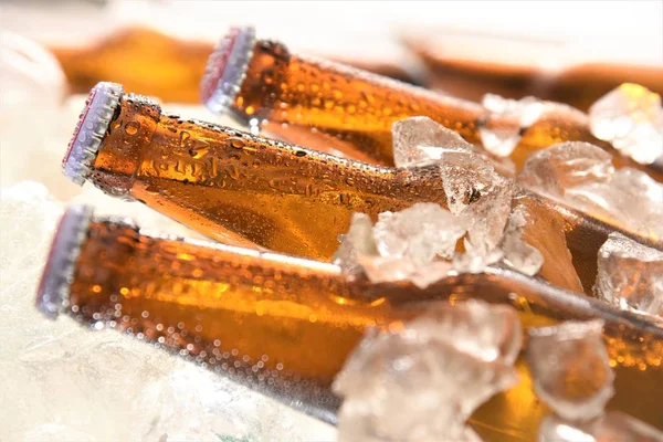 Μπουκάλι Μπύρας Διατηρημένα Απλή Ψύξη Πάγο — Φωτογραφία Αρχείου