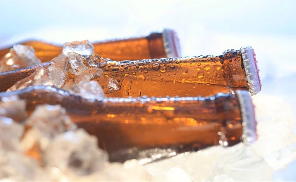 Διατηρημένα Απλή Ψύξη Μπουκάλι Μπύρας Πάγο Κινηματογράφηση Πρώτο Πλάνο — Φωτογραφία Αρχείου