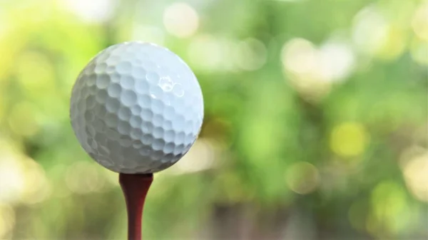 golf ball on red tee green bokeh background