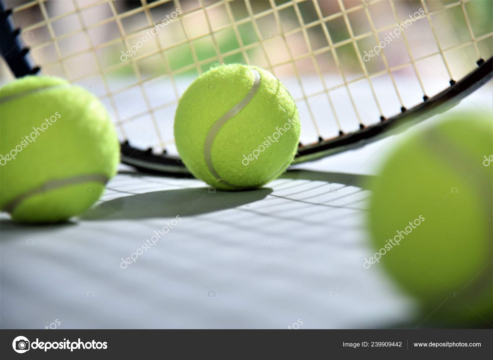 テニス写真素材 ロイヤリティフリーテニス画像 Depositphotos