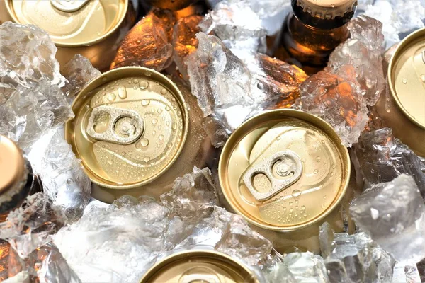 beer can and bottle chilled in ice top view