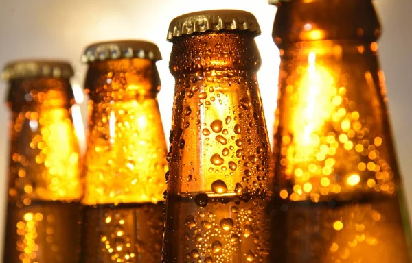 ビールボトルは 太陽セットトップ部分クローズアップに対して並ぶ — ストック写真