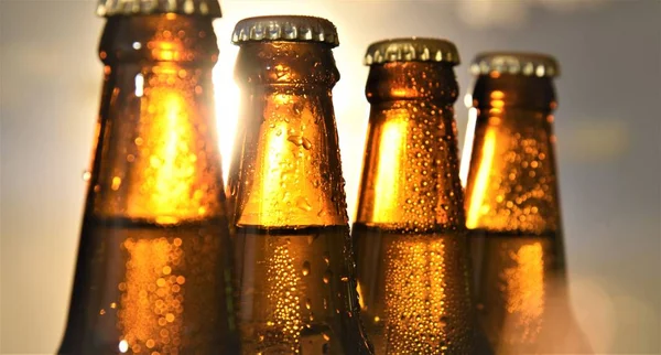 beer bottles line up against sun set top part closeup