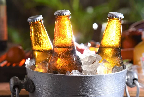 Botellas Cerveza Refrigeradas Nevera Con Parrilla Barbacoa Fondo —  Fotos de Stock