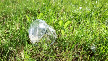 Çevre kirliliği: buruşuk plastik bardak çim yatıyor.