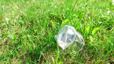 Çevre kirliliği: buruşuk plastik bardak çim yatıyor.