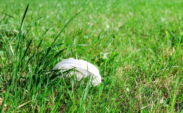 Çevre kirliliği: plastik kapak çim yatıyor.