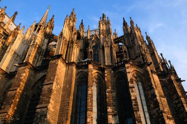 Almanya 'daki Köln Katedrali