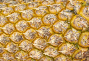Olgun sarı ananas cilt doku portre. Ananas doku. Egzotik meyve yakın çekim. Olgun sarı meyve makro fotoğraf arka plan veya duvar kağıdı kabuğu. Ananas cilt yüzeyi. Tatlı tropikal meyve kartı